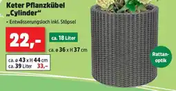 Thomas Philipps Keter Pflanzkübel „Cylinder“ Angebot