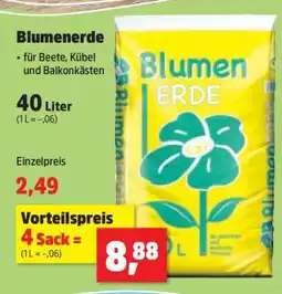 Thomas Philipps Blumenerde Angebot