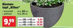 Thomas Philipps Blumentopf „Rillen“ Angebot