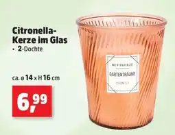 Thomas Philipps Citronella Kerze im Glas Angebot