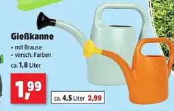 Thomas Philipps Gießkanne Angebot