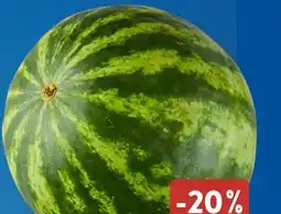 Aldi Süd Wassermelone Angebot