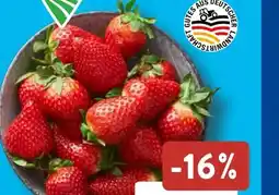 Aldi Süd Bestes aus der Region Erdbeeren Angebot