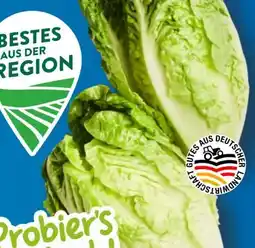 Aldi Süd Bestes aus der Region Salatherzen Mini-Romana Angebot