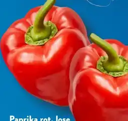 Aldi Süd Paprika Rot Angebot