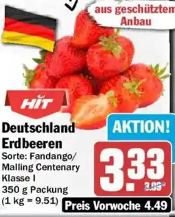 AEZ Deutschland Erdbeeren Angebot