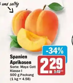 AEZ Spanien Aprikosen Angebot