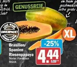 AEZ Brasilien/ Spanien Riesenpapaya Angebot