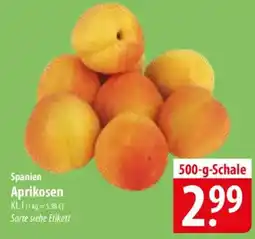 Famila Nord Ost Spanien Aprikosen Angebot