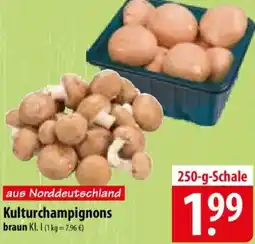 Famila Nord Ost Kulturchampignons braun Angebot