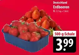 Famila Nord Ost Deutschland Erdbeeren Angebot