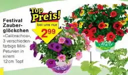 Jawoll Festival Zauberglöckchen Angebot