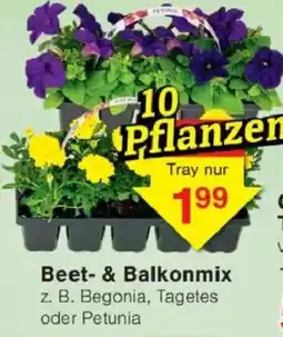 Jawoll Beet- & Balkonmix Angebot