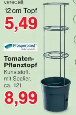 Jawoll Tomaten Pflanztopf Angebot