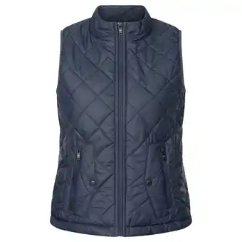 Netto Marken-Discount Rock Creek Weste Steppweste Angebot