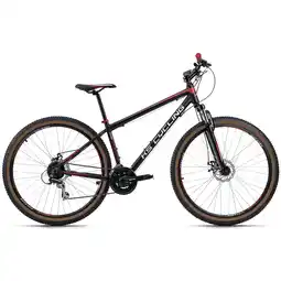 Netto Marken-Discount KS Cycling MTB Hardtail Twentyniner 29 Zoll Xceed Angebot