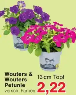 Jawoll Wouters & Wouters Petunie Angebot