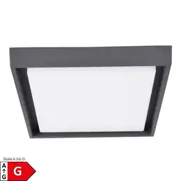 Netto Marken-Discount Näve LED Außendeckenleuchte IP54 MIO s:34cm Angebot