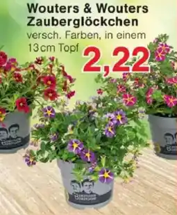 Jawoll Wouters & Wouters Zauberglöckchen Angebot