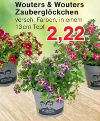 Jawoll Wouters & Wouters Zauberglöckchen Angebot