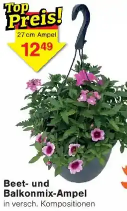 Jawoll Beet- und Balkonmix-Ampel Angebot