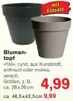 Jawoll Blumentopf Angebot