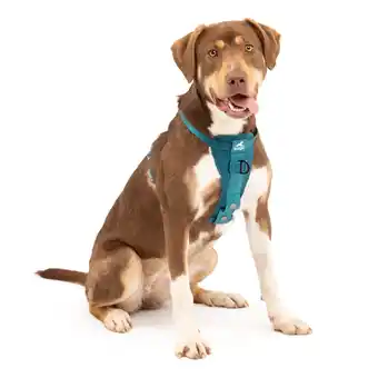 Netto Marken-Discount Kurgo Tru-Fit Autosicherheitsgeschirr für Hunde, Größe M, Tintenblau Angebot