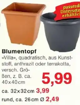 Jawoll Blumentopf Angebot