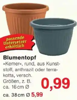 Jawoll Blumentopf Angebot