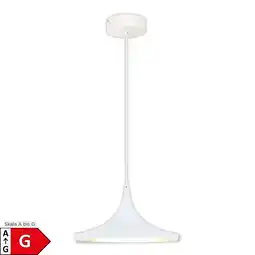 Netto Marken-Discount Näve LED Pendelleuchte OSLO Ø: 37cm weiß Angebot