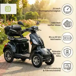 Netto Marken-Discount Econelo E-Seniorenmobil Voltrixx, Lithium-Akku, 4-Rad, 1000 Watt, Schwarz Angebot