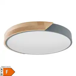 Netto Marken-Discount Näve LED Deckenleuchte BORNEO L: 32cm Angebot