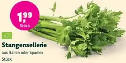 Biomarkt Stangensellerie Angebot