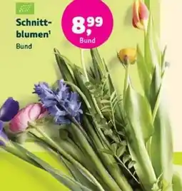 Biomarkt Schnittblumen Angebot