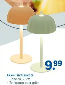 Rossmann Akku-Tischleuchte Angebot