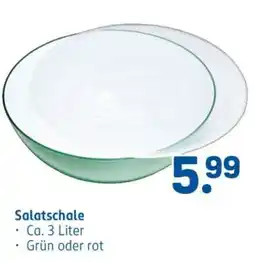 Rossmann Salatschale Angebot