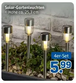 Rossmann Solar-Gartenleuchten Angebot