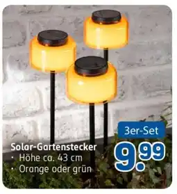 Rossmann Solar-Gartenstecker Angebot