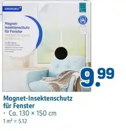 Rossmann Magnet-Insektenschutz für Fenster Angebot