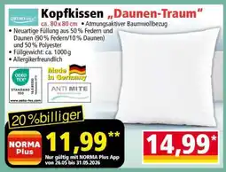 Norma Kopfkissen „Daunen-Traum“ Angebot
