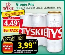 Norma Gronie Pils Angebot
