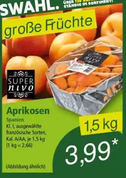 Norma Aprikosen Angebot
