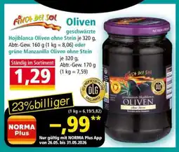 Norma Oliven Angebot