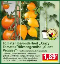 Norma Tomaten Besonderheit „Crazy Tomatos“/Riesengemüse „Giant Veggies“ Angebot
