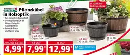 Norma Pflanzkübel in Holzoptik Angebot