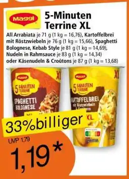 Norma 5-Minuten Terrine XL Angebot