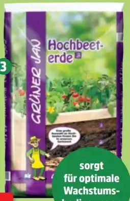 Thomas Philipps Grüner Jan Hochbeeterde Angebot