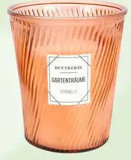 Thomas Philipps Citronella-Kerzen Angebot