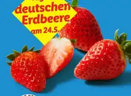 Lidl Erdbeeren Angebot