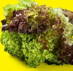 Lidl Salat Multicolor Angebot